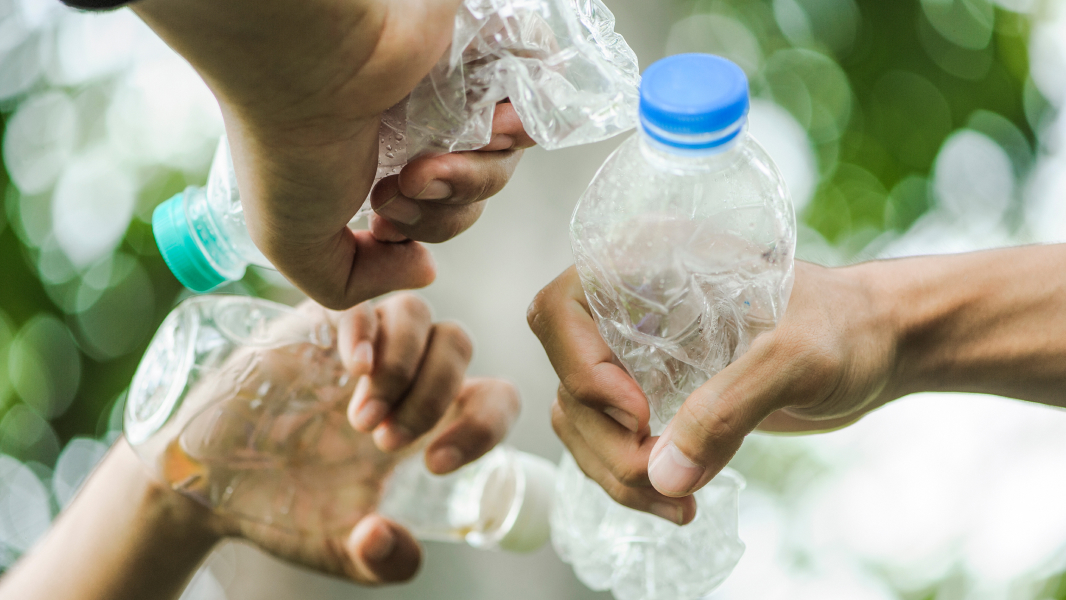 Recycle Bottles