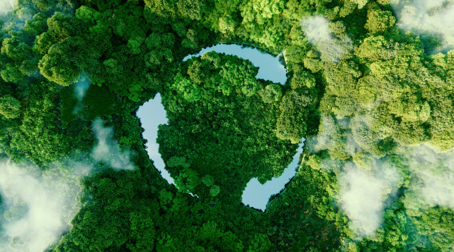 Recycle Trees